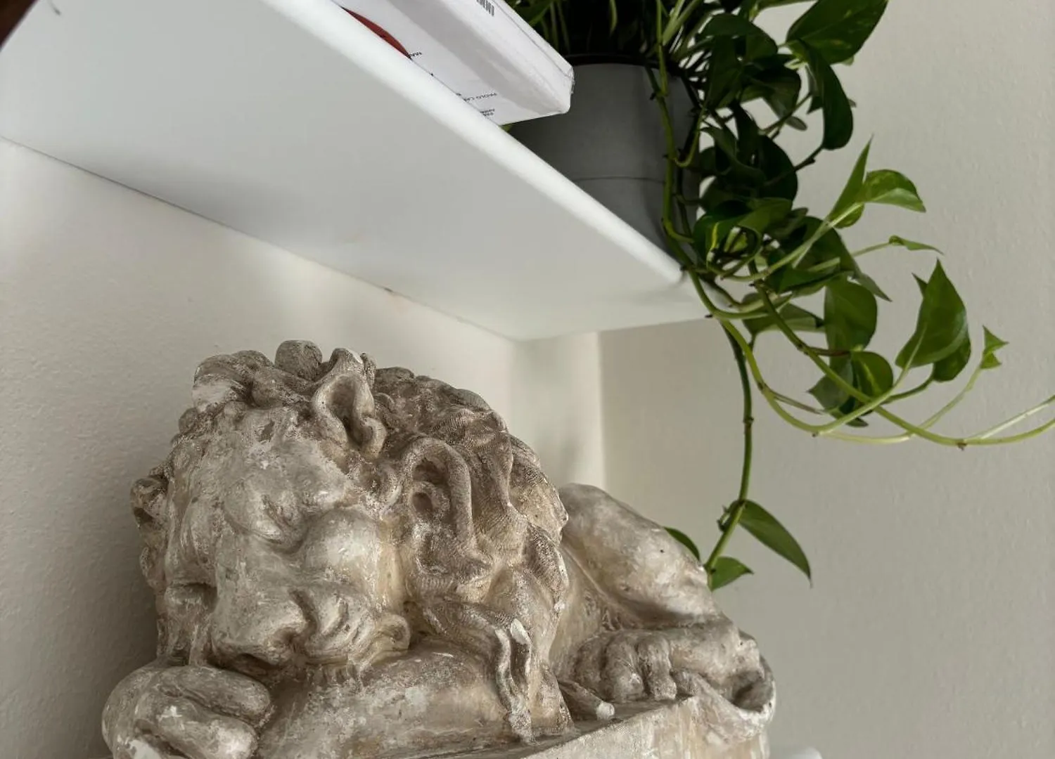 Apartmán Il Leoncino Boloňa 0*,
